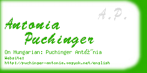 antonia puchinger business card